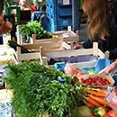 Future Food Symposium in Utrecht